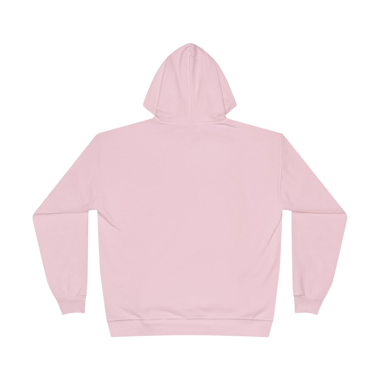 SYS Script Hanes EcoSmart Hoodie