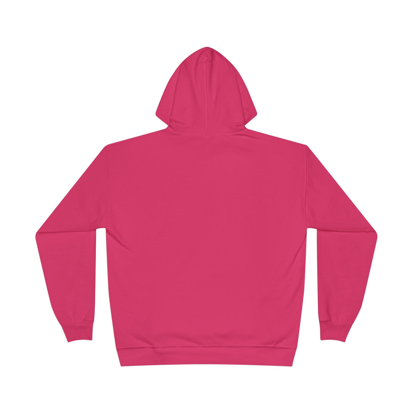 SYS Script Hanes EcoSmart Hoodie