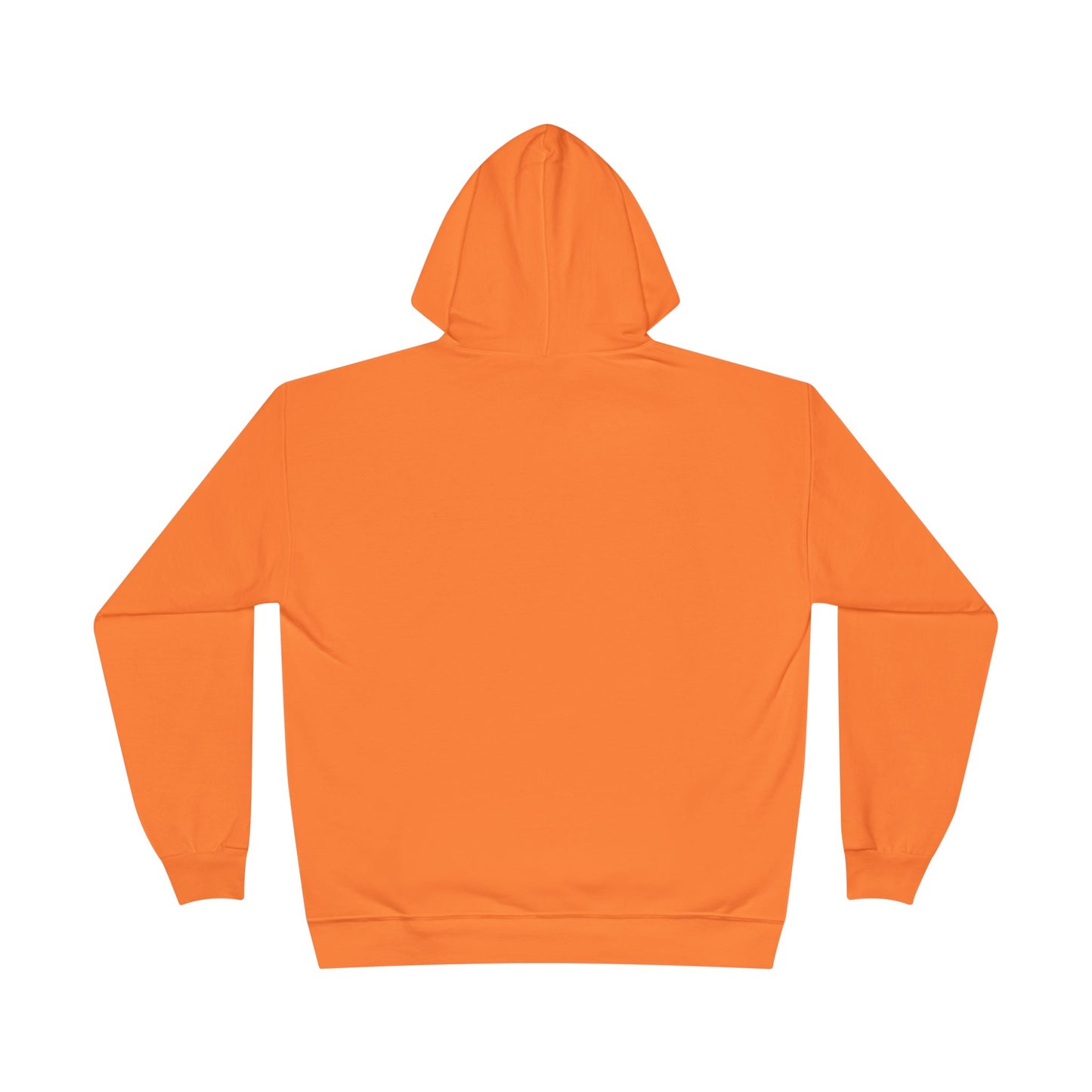 SYS Script Hanes EcoSmart Hoodie