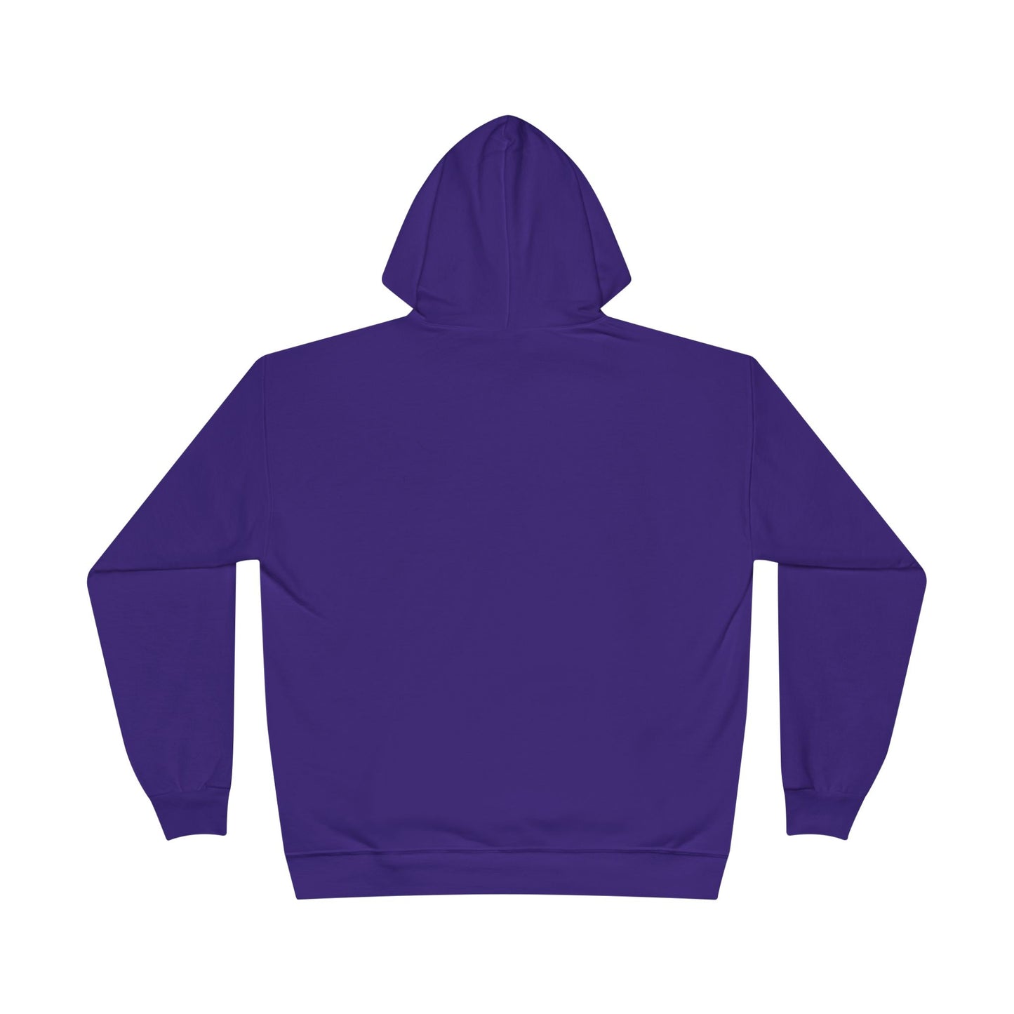 SYS Script Hanes EcoSmart Hoodie